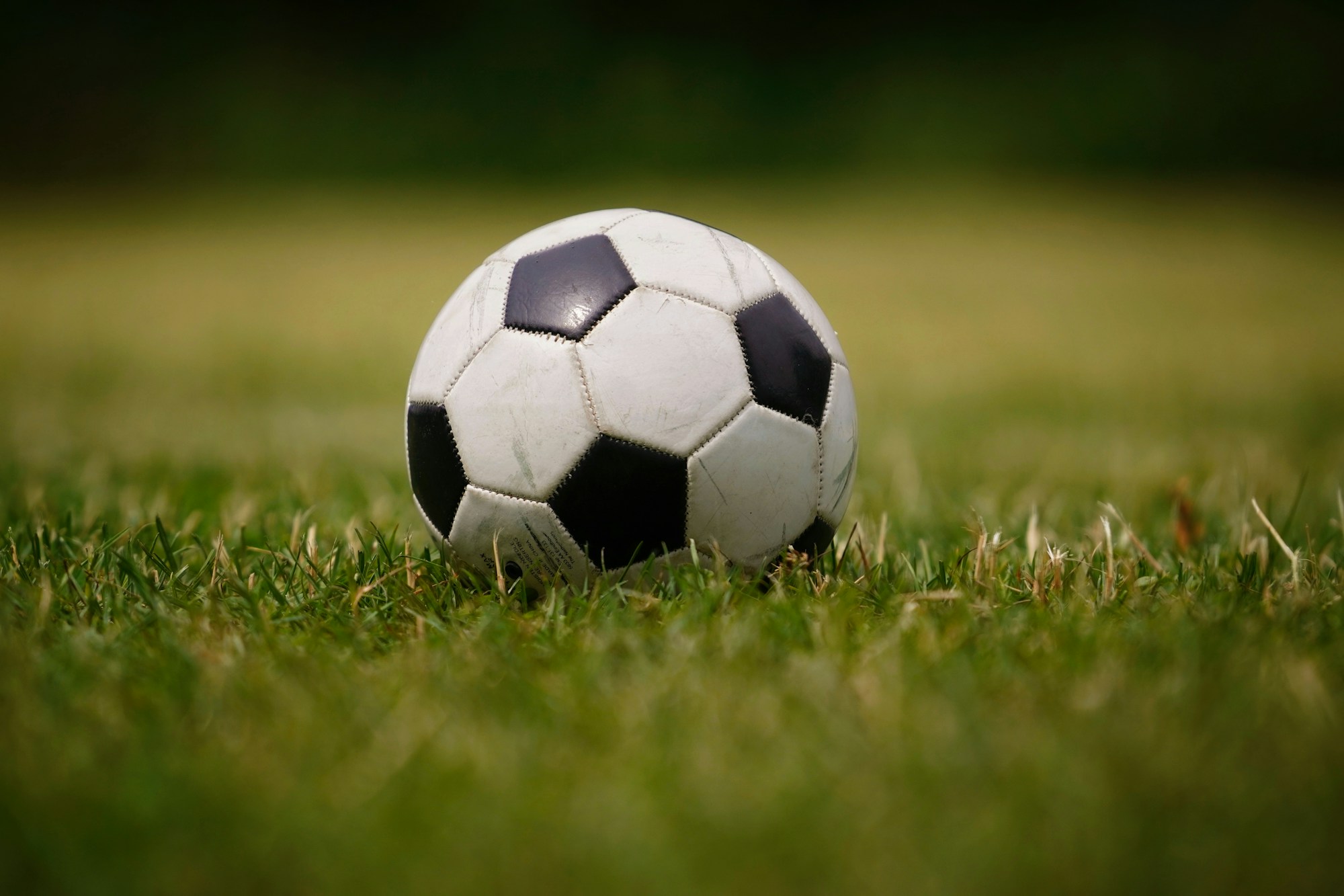 Çim sahada duran bir futbol topu