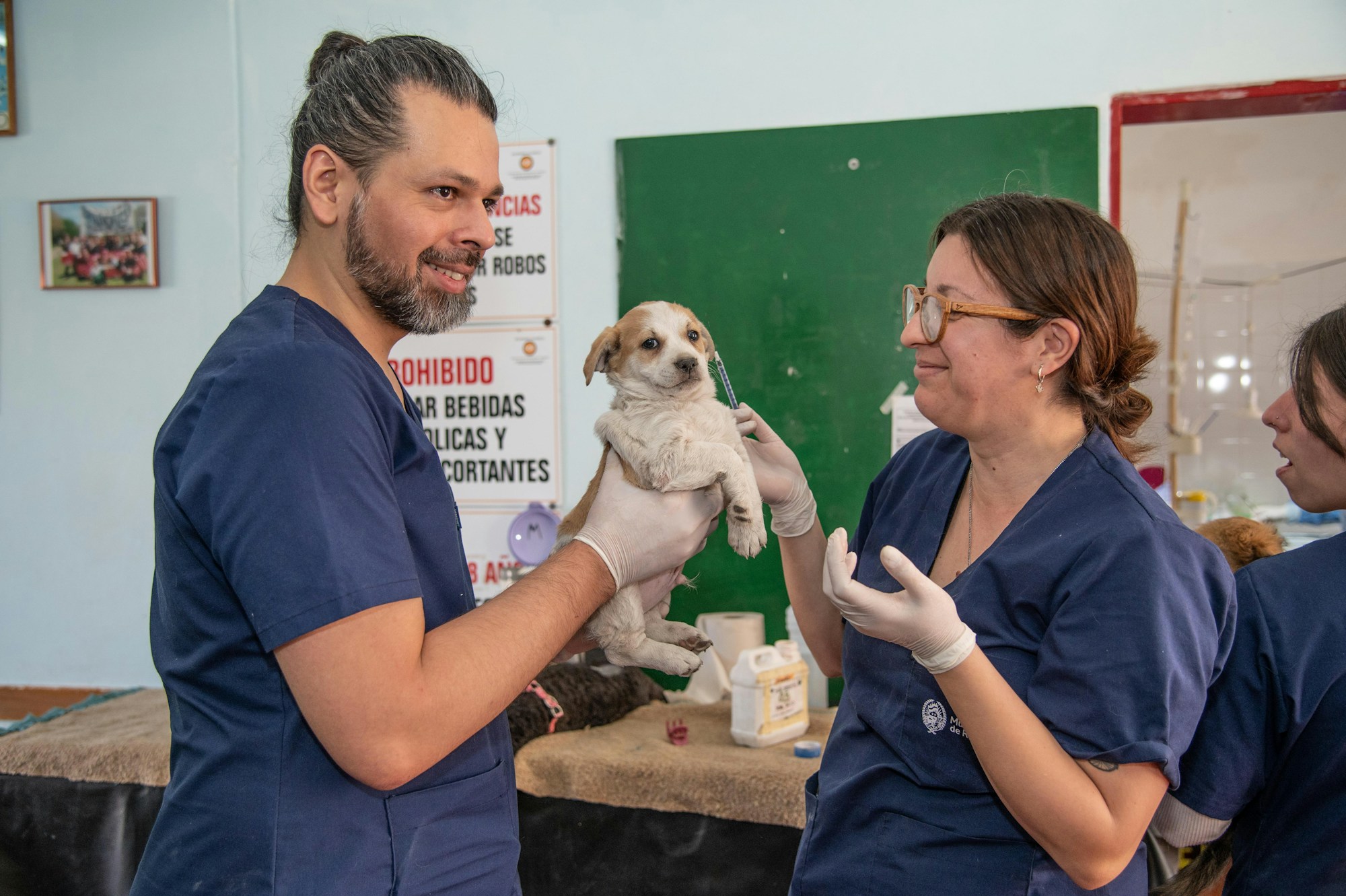 Veteriner kliniğinde muayene edilen bir köpek