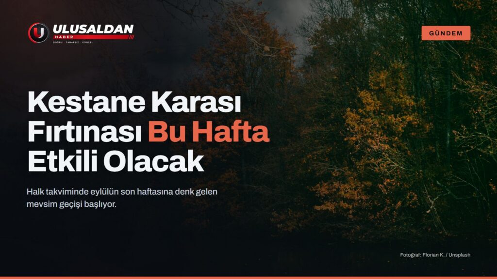 Kestane Karası Fırtınası — Sonbahar renklerine bürünmüş ağaçlar