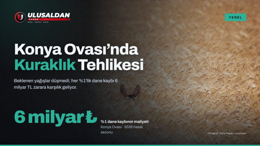 Kuraklıktan etkilenmiş seyrek bir tarla (Konya Ovası kuraklık haberi, temsili görsel)