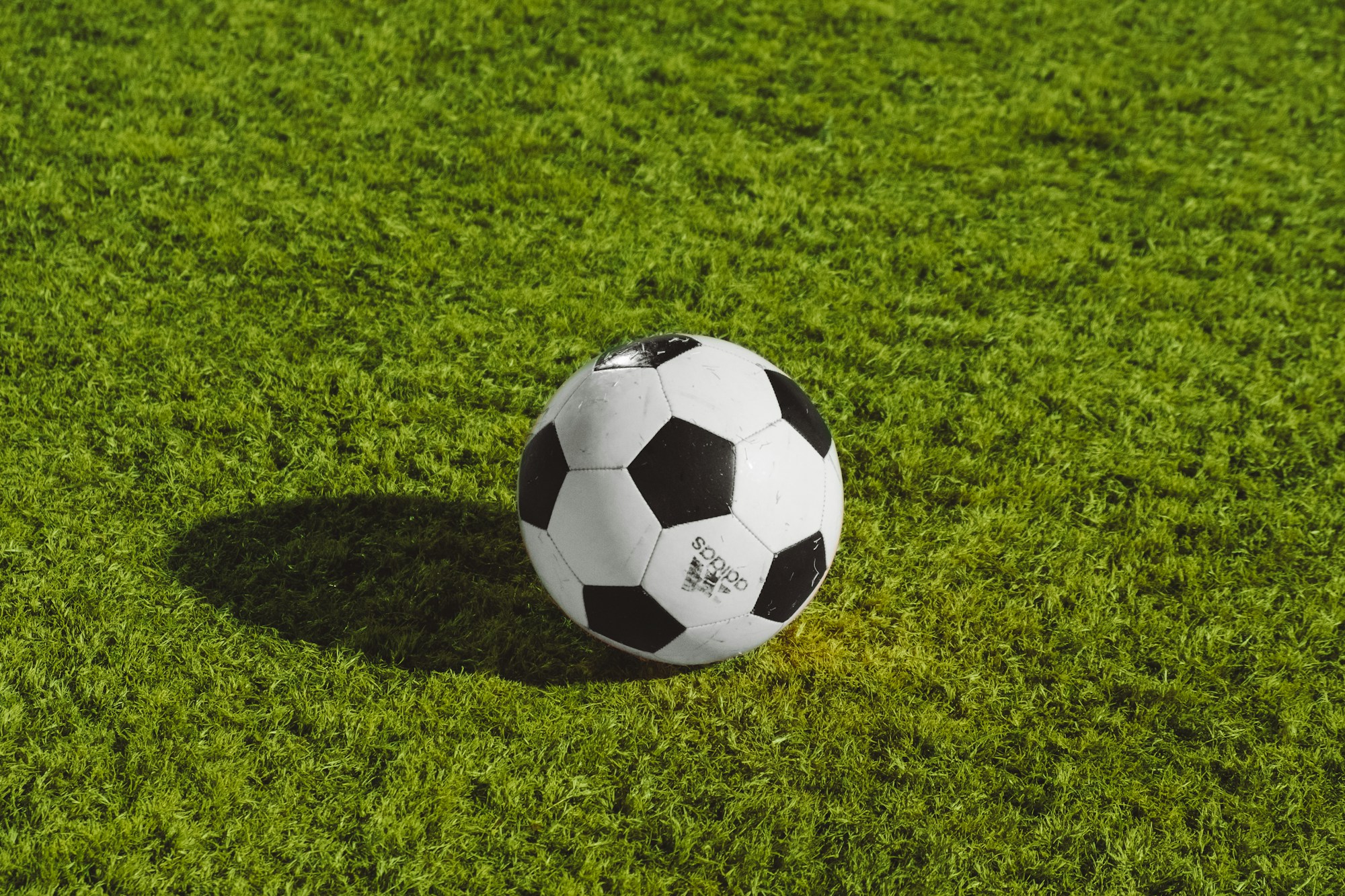 Çim sahada duran bir futbol topu