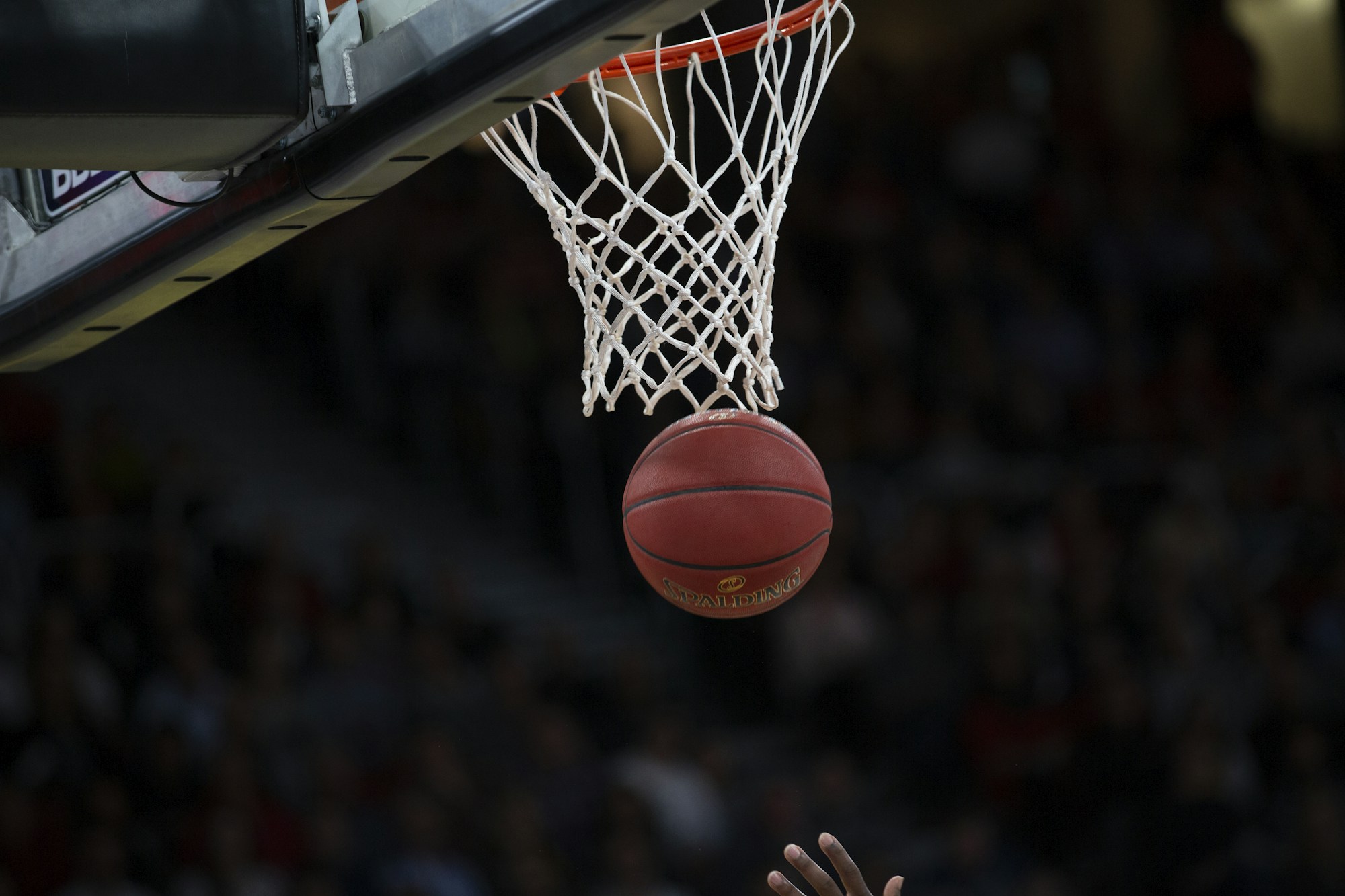 EuroLeague 3. hafta haberi için temsilî görsel: potadan geçen basketbol topu