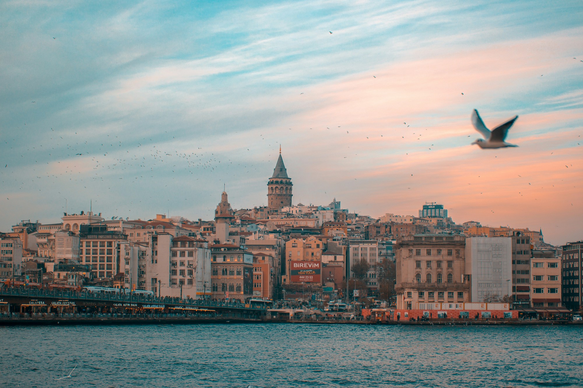 Gün batımında Haliç kıyısı ve Galata Kulesi üzerinde uçan bir martı (temsilî)