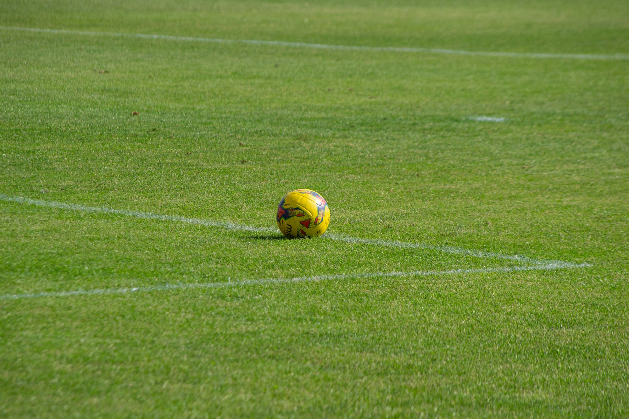 Çim sahada duran sarı bir futbol topu (temsilî)